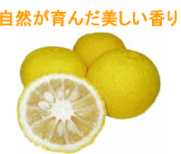 ͮ�ҡʤ椺��